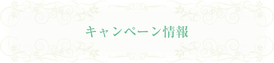 キャンペーン情報